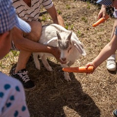 Парк-отель Дивный, Воронежская область