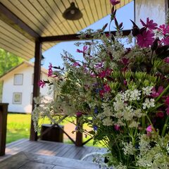 База отдыха Ладожские дюны, Ленинградская область