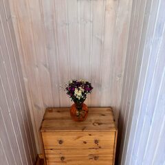 База отдыха Ладожские дюны, Ленинградская область