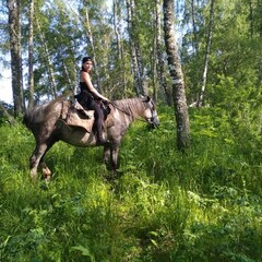 База отдыха Малиновый остров, Республика Алтай