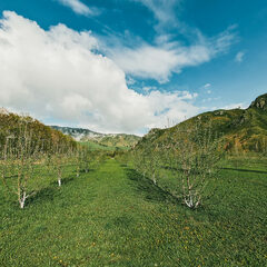 База отдыха Малиновый остров, Республика Алтай