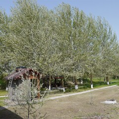 Загородный комплекс Донская Ривьера, Ростовская область