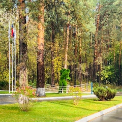 Спортивная база отдыха Лесная опушка, Серпуховский район, Московская область