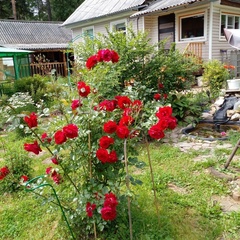 Гостевой дом Елисей, Иркутская область