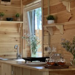 Глэмпинг Лесовик 66, Свердловская область