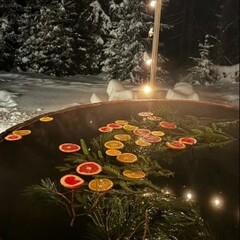 Глэмпинг Domingo Dacha A-Frame, Московская область