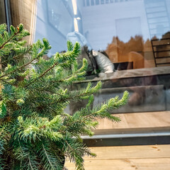 Глэмпинг Domingo Dacha A-Frame, Московская область