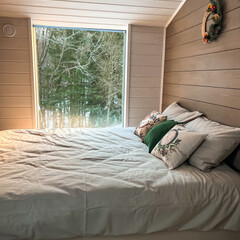 Глэмпинг Domingo Dacha A-Frame, Московская область