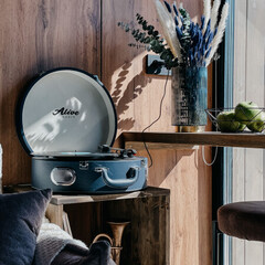 Глэмпинг Domingo Dacha A-Frame, Московская область