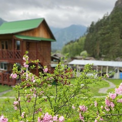 Гостевой дом Усадьба Сибиряк Алтая, Республика Алтай
