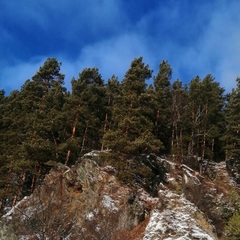 Гостевой дом Усадьба Сибиряк Алтая, Республика Алтай