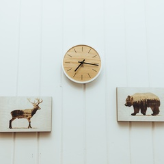 Эко-отель Мох, Республика Карелия