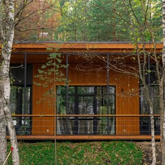 Эко-отель Мох, Республика Карелия