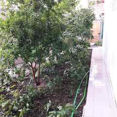 Гостевой двор от Натальи , Крым