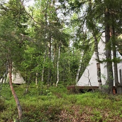 Глэмпинг на берегу Белого моря, Республика Карелия