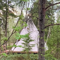 Глэмпинг на берегу Белого моря, Республика Карелия