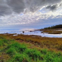Глэмпинг на берегу Белого моря, Республика Карелия
