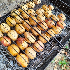 Глэмпинг на берегу Белого моря, Республика Карелия