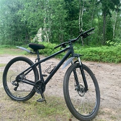 Глэмпинг на берегу Белого моря, Республика Карелия