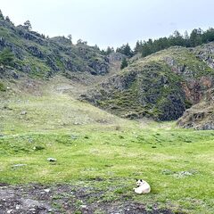 Парк-отель Altaypic, Республика Алтай