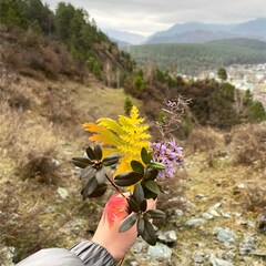 Парк-отель Altaypic, Республика Алтай