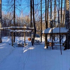 Глэмпинг Forest story, Тюмень, Тюменская область