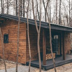 Глэмпинг Forest story, Тюмень, Тюменская область
