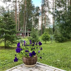 База отдыха Beaverlake, Республика Карелия