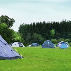 Кемпинг  Ферма Мартьянково, Московская область