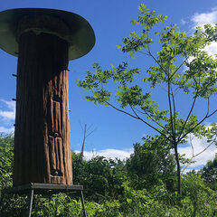 Кемпинг  Ферма Мартьянково, Московская область