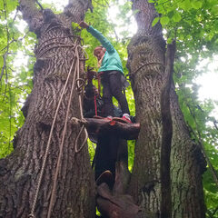 Кемпинг  Ферма Мартьянково, Московская область