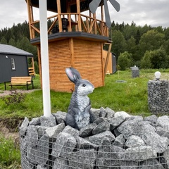 Гостевой комплекс Заячья Пристань, Республика Карелия