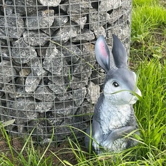 Гостевой комплекс Заячья Пристань, Республика Карелия