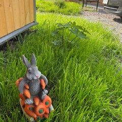 Гостевой комплекс Заячья Пристань, Республика Карелия