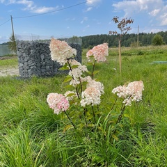 Гостевой комплекс Заячья Пристань, Республика Карелия