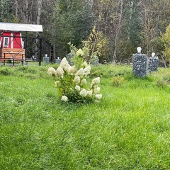 Гостевой комплекс Заячья Пристань, Республика Карелия
