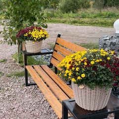 Гостевой комплекс Заячья Пристань, Республика Карелия