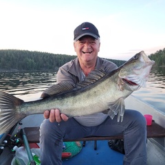 Гостевой комплекс Заячья Пристань, Республика Карелия