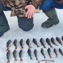 Гостевой комплекс Заячья Пристань, Республика Карелия