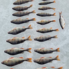 Гостевой комплекс Заячья Пристань, Республика Карелия