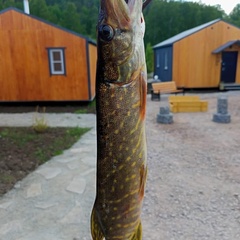 Гостевой комплекс Заячья Пристань, Республика Карелия