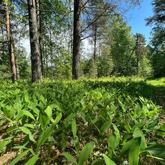 Загородный дом Ржев-Волга, Тверская область