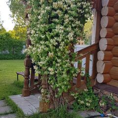 Загородный дом Ржев-Волга, Тверская область