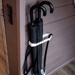 База отдыха Рыбинское море, Ярославская область