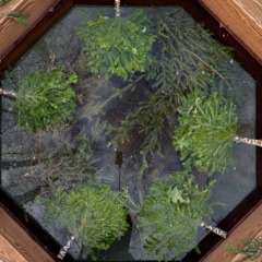 База отдыха Рыбинское море, Ярославская область