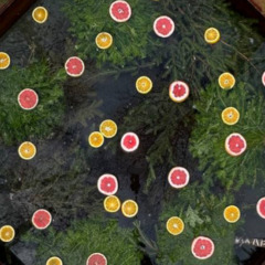 База отдыха Рыбинское море, Ярославская область