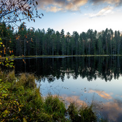 Санаторий Тюрьма для жира, Ленинградская область
