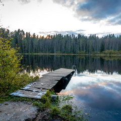 Санаторий Тюрьма для жира, Ленинградская область