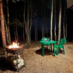 Загородный дом Reo Rest, Псковская область