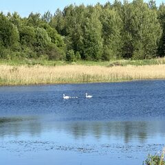 Загородный дом Reo Rest, Псковская область